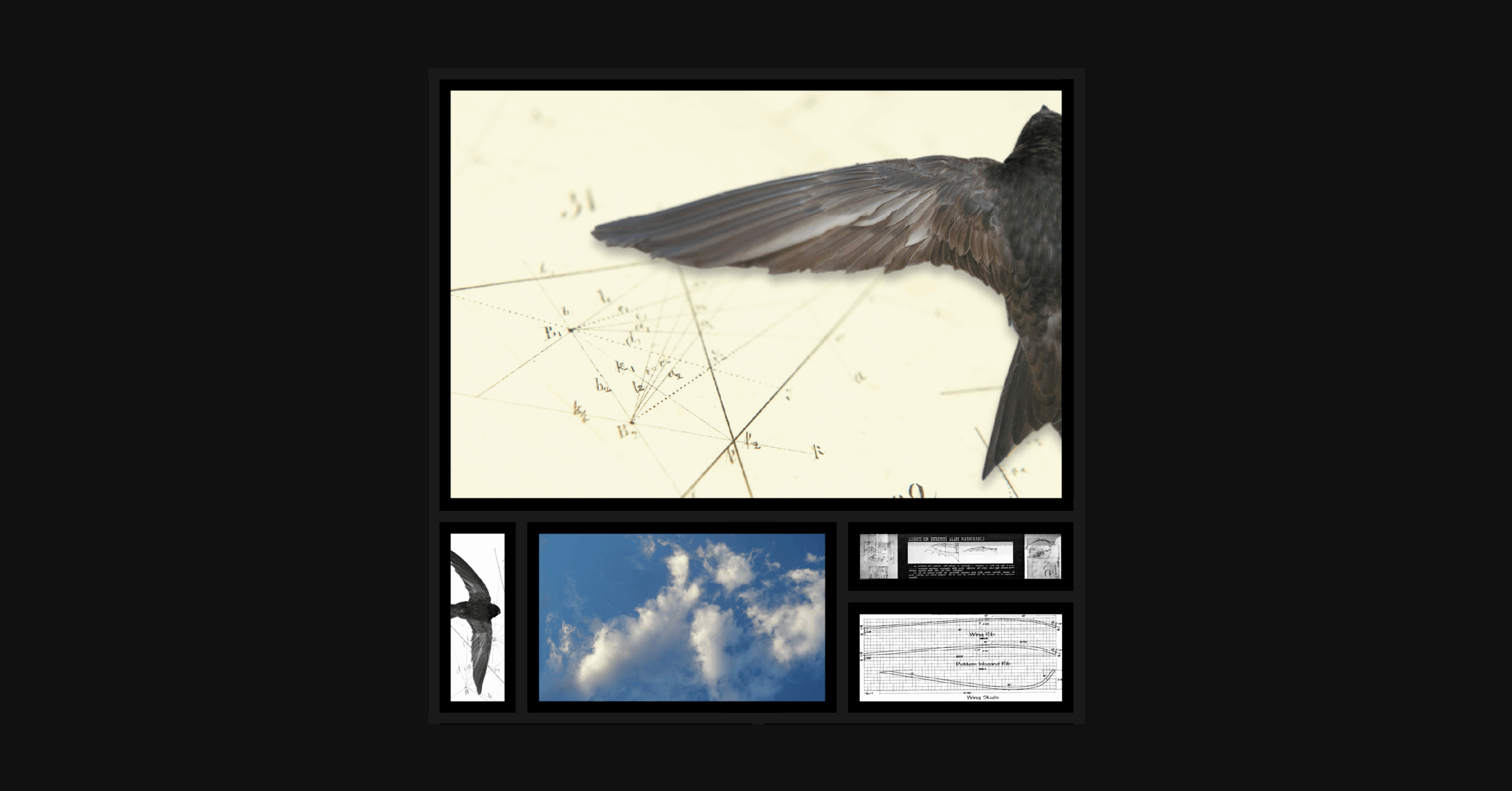Michael Marshall, Geometry of Flight. Pigment print, wood. 43 x 43