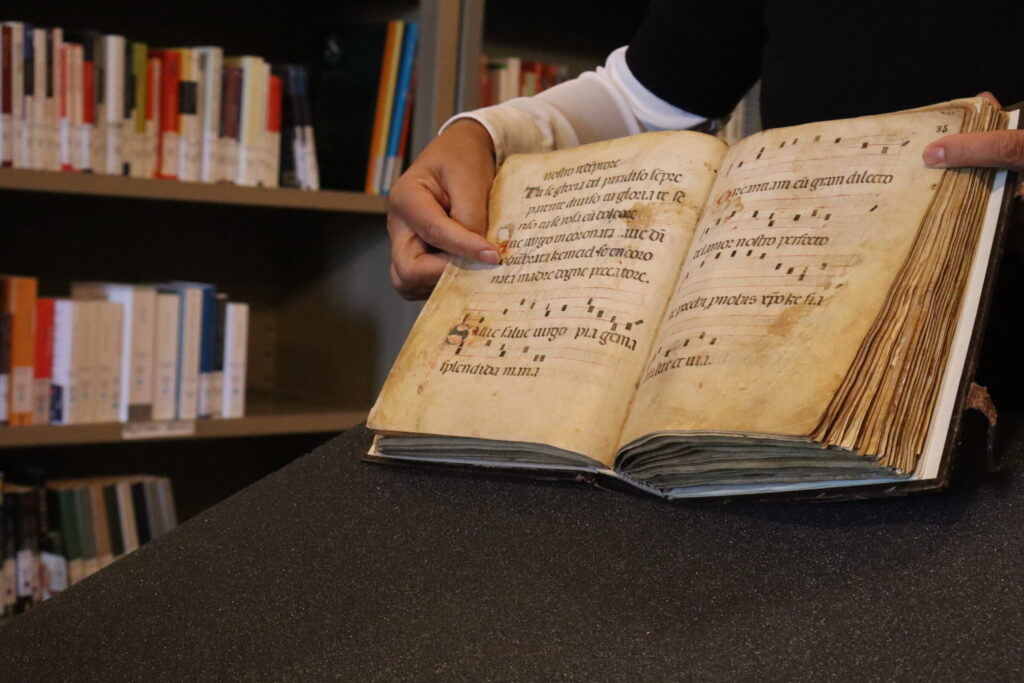 Archives at Museo dell'Accademia Etrusca, photo courtesy of Francis Oliver, 2024.